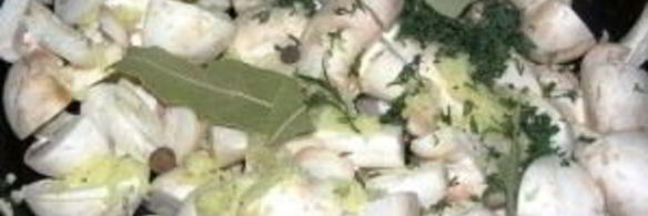 грибы закусочные