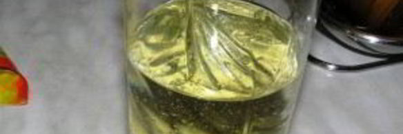 грибы закусочные