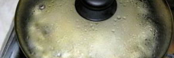 грибы закусочные