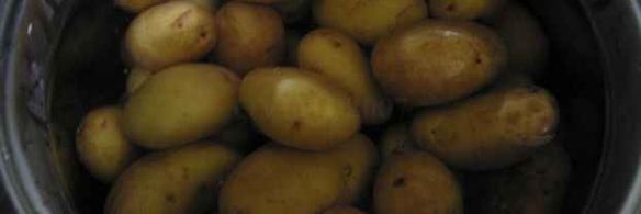 лисички жареные с картофелем