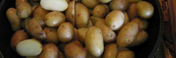 лисички жареные с картофелем