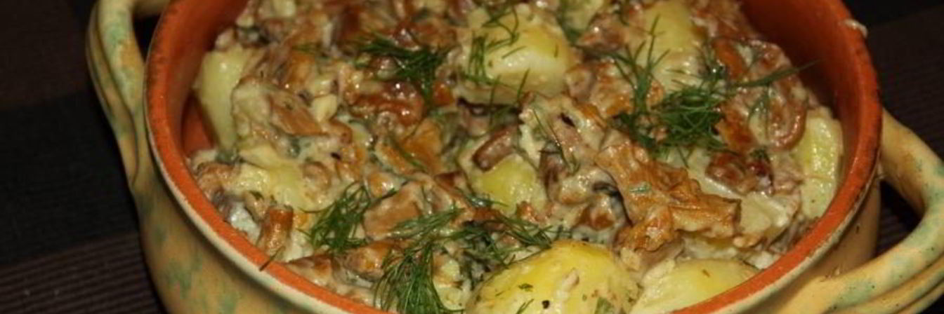 Лисички жареные со сметаной