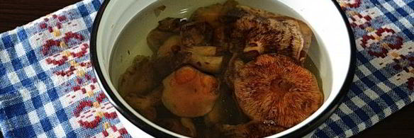 рыжики жареные