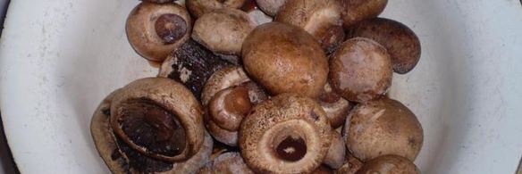 шампиньоны по-итальянски