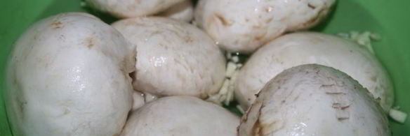 шампиньоны с чесночным ароматом на мангале