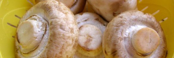 тушеные грибы в мультиварке