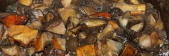 тушеные моховики