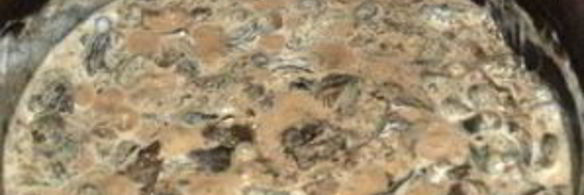 тушеные моховики