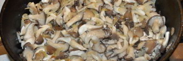 вешенки, тушенные в сметане