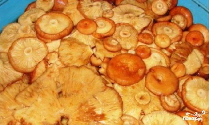 Рецепт волнушек жареных