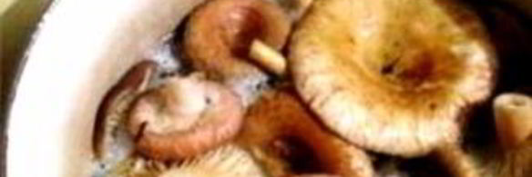 волнушки жареные