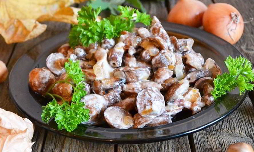 Рецепт жареных маслят в сметане