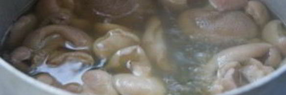 жареные маслята