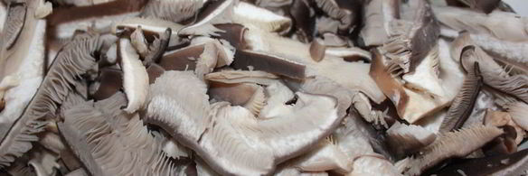 жареные вешенки