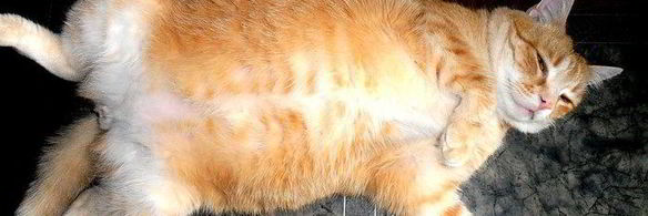 картофельный гарнир на новый лад