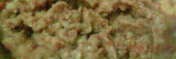 котлеты из овсянки и фасоли