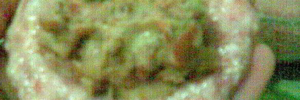 котлеты из овсянки и фасоли