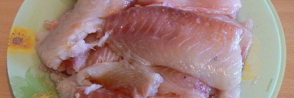 котлеты из щуки