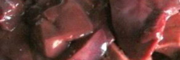 печеночные котлеты из говяжьей печени