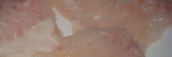 рыбные котлеты любительские