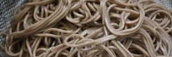 лапша соба с лососем и кресс-салатом