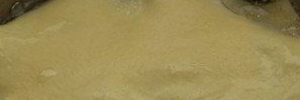 лазанья с мясом