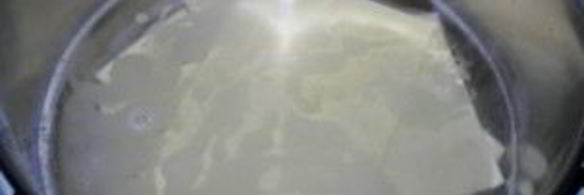 сырная лазанья