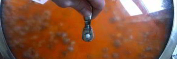 макароны с фаршем и сыром в соусе