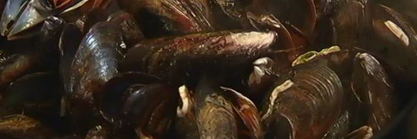 макароны с мидиями под соусом из сидра