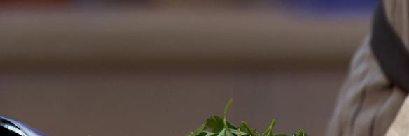 паста с беконом и консервированным тунцом в сливочном соусе