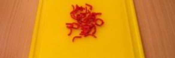 паста с телятиной