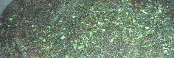 буженина в пароварке