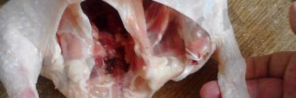 фаршированная курица в духовке