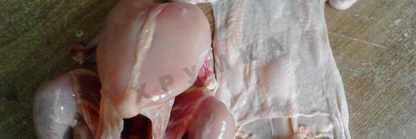 фаршированная курица в духовке