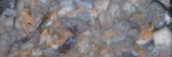 фаршированная курица в духовке