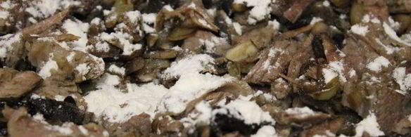 говядина в сметанном соусе