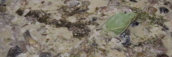 говядина в сметанном соусе