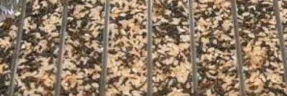 копченые куриные грудки