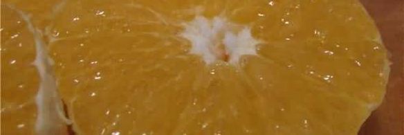 куриные конверты с апельсином в грейпфрутовом соусе