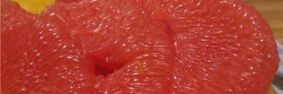 куриные конверты с апельсином в грейпфрутовом соусе