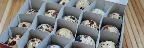 курица и ко