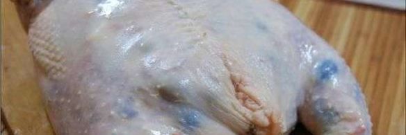 курица и ко