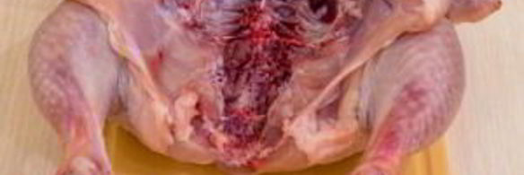 курица с шампиньонами и сыром