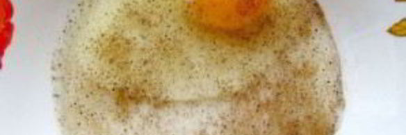 отбивные из куриной печени