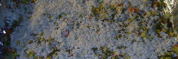 свинина с рисом и кукурузой