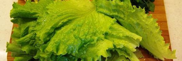 томленая утка под изумрудным соусом