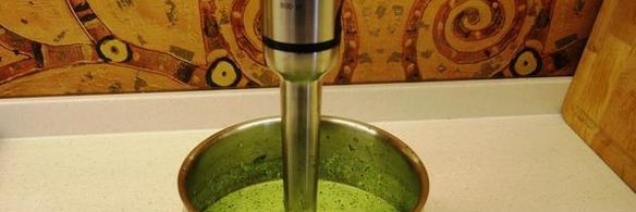 томленая утка под изумрудным соусом