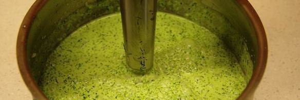 томленая утка под изумрудным соусом