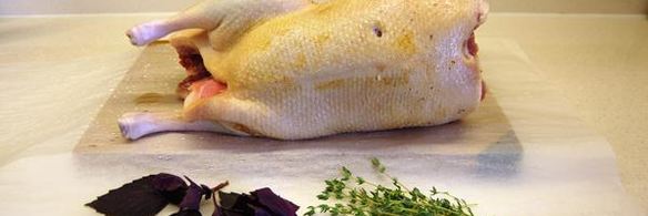 томленая утка под изумрудным соусом