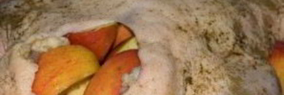 утка в духовке